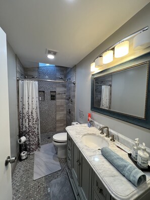 Shower, hair dryer, bidet, towels