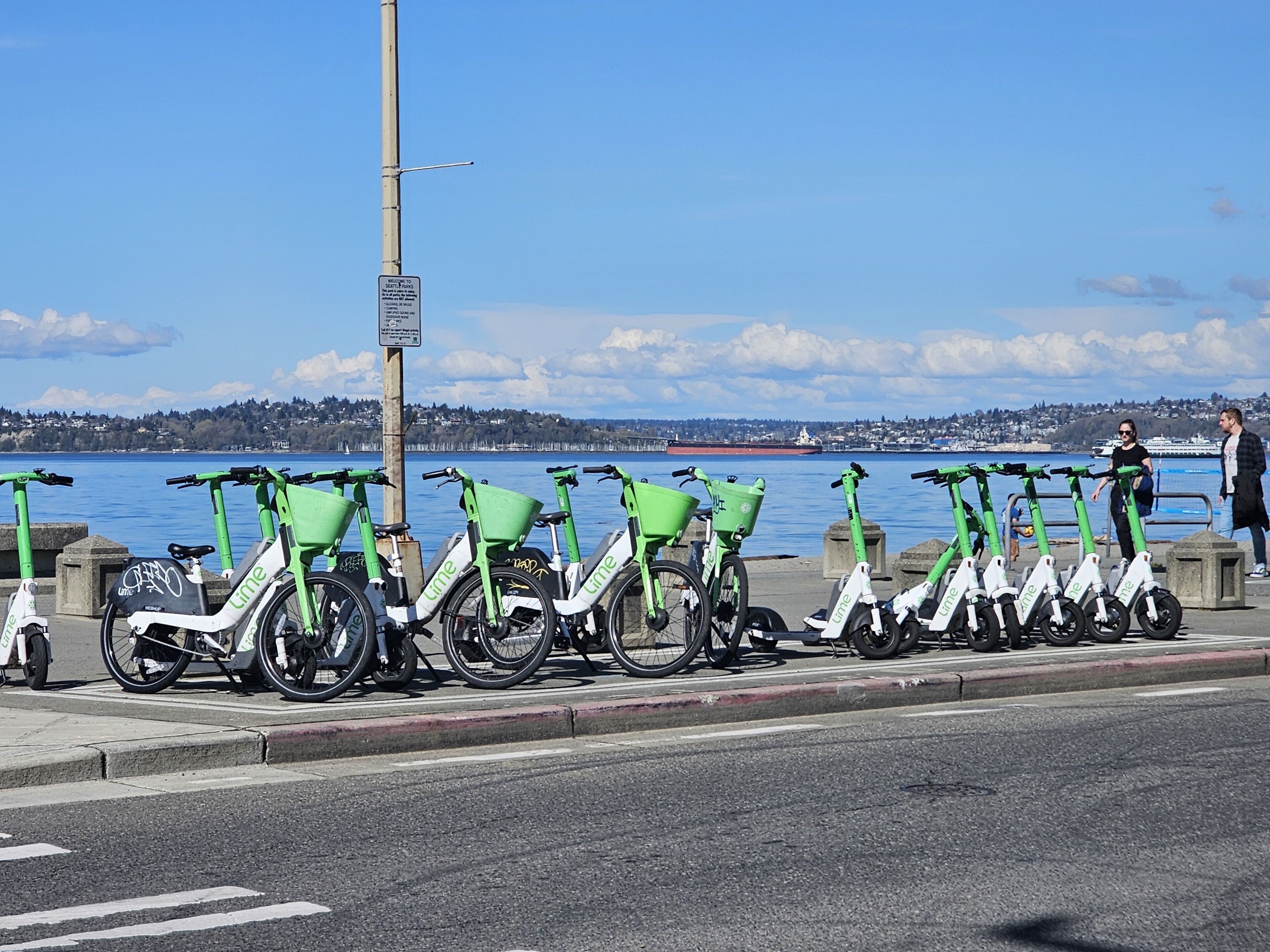 Reihe grüner Elektroscooter, geparkt am Ufer.
