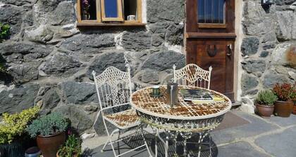 Ty Beic Country Apartments, The Stable