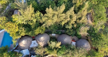 Woodland cottage @ Vyomanh Udaipur