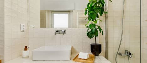 Eco-friendly toiletries, hair dryer