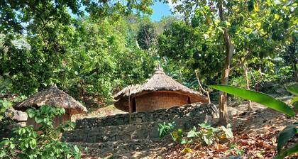 Maison Indigène Avec Cascade Privée et Salle à Vivre Tout Équipée !
