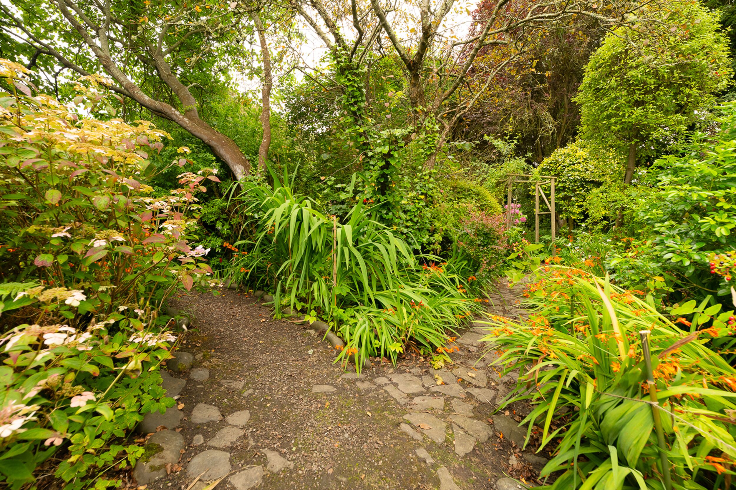 A garden pathway surrounded by lush greenery and various plants.