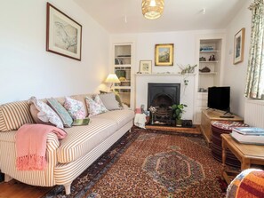 A living room with a sofa, fireplace, television, and bookshelves. - Blackbird Cottage Near Appledore (Bideford)