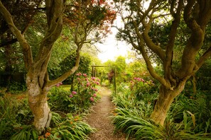 Property grounds - Blackbird Cottage (Bideford)