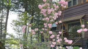 A wooden cabin with a sign reading "Lakeside."