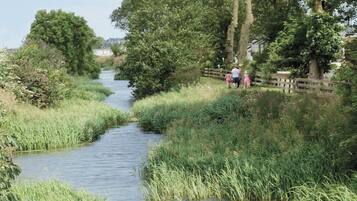 Chalet | Property grounds