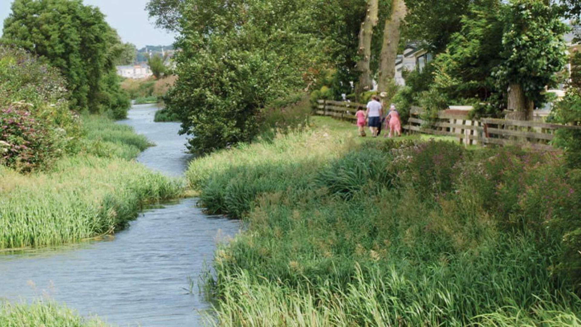 Un étroit canal bordé d’une végétation luxuriante et d’une clôture en bois.