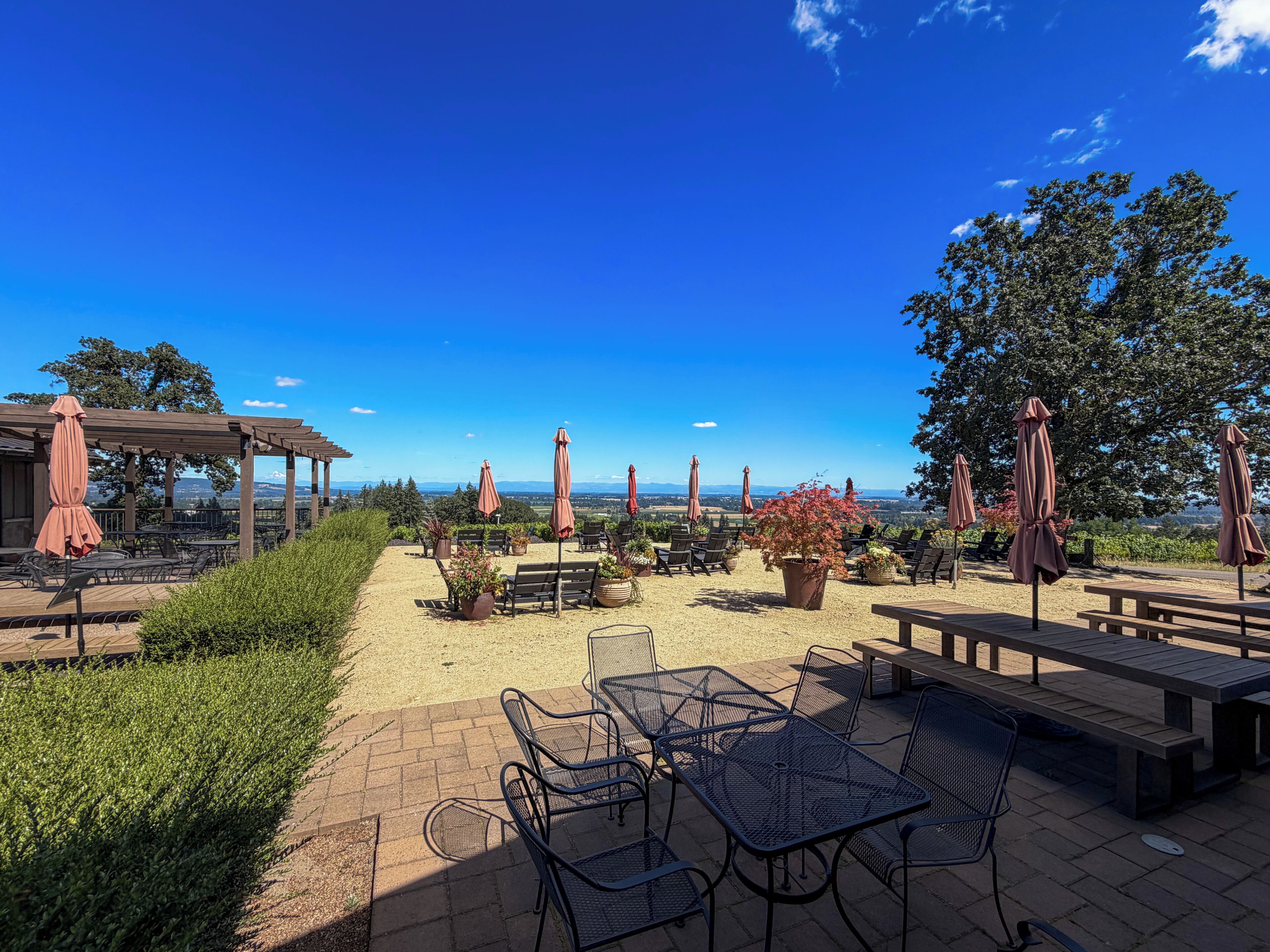Eine Außenpatio-Terrasse mit Tischen, Stühlen, Sonnenschirmen und Blumentöpfen.
