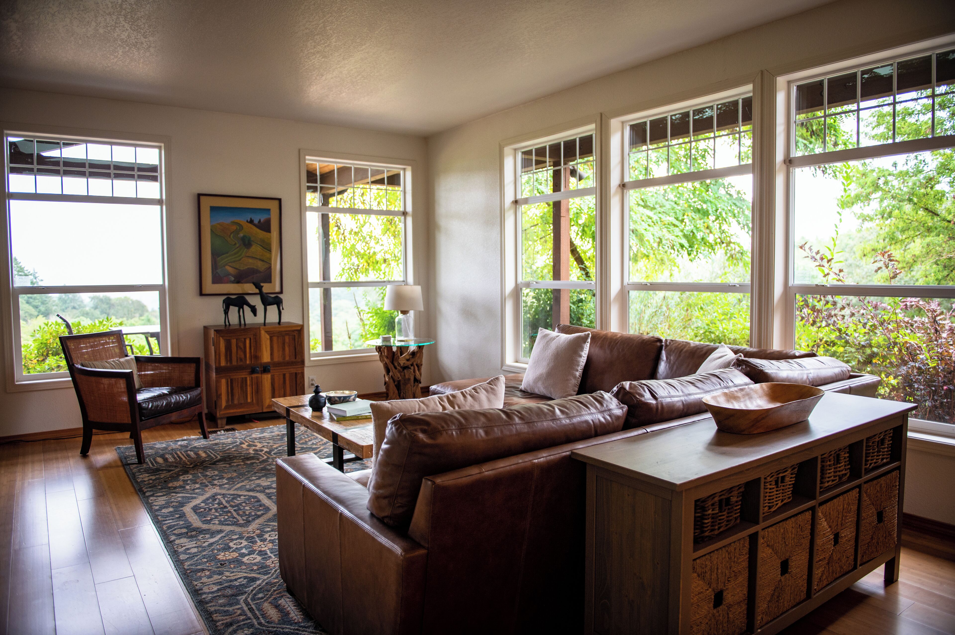 Fernseher, DVD-Player, Bücher