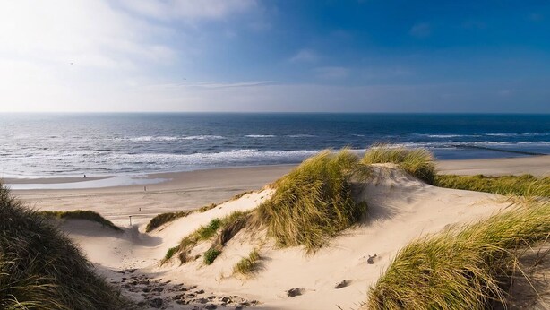 Une plage avec des dunes de sable et l’océan.