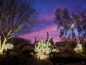 A nighttime garden with illuminated cacti and trees, a metal fence, and a stone pathway.
