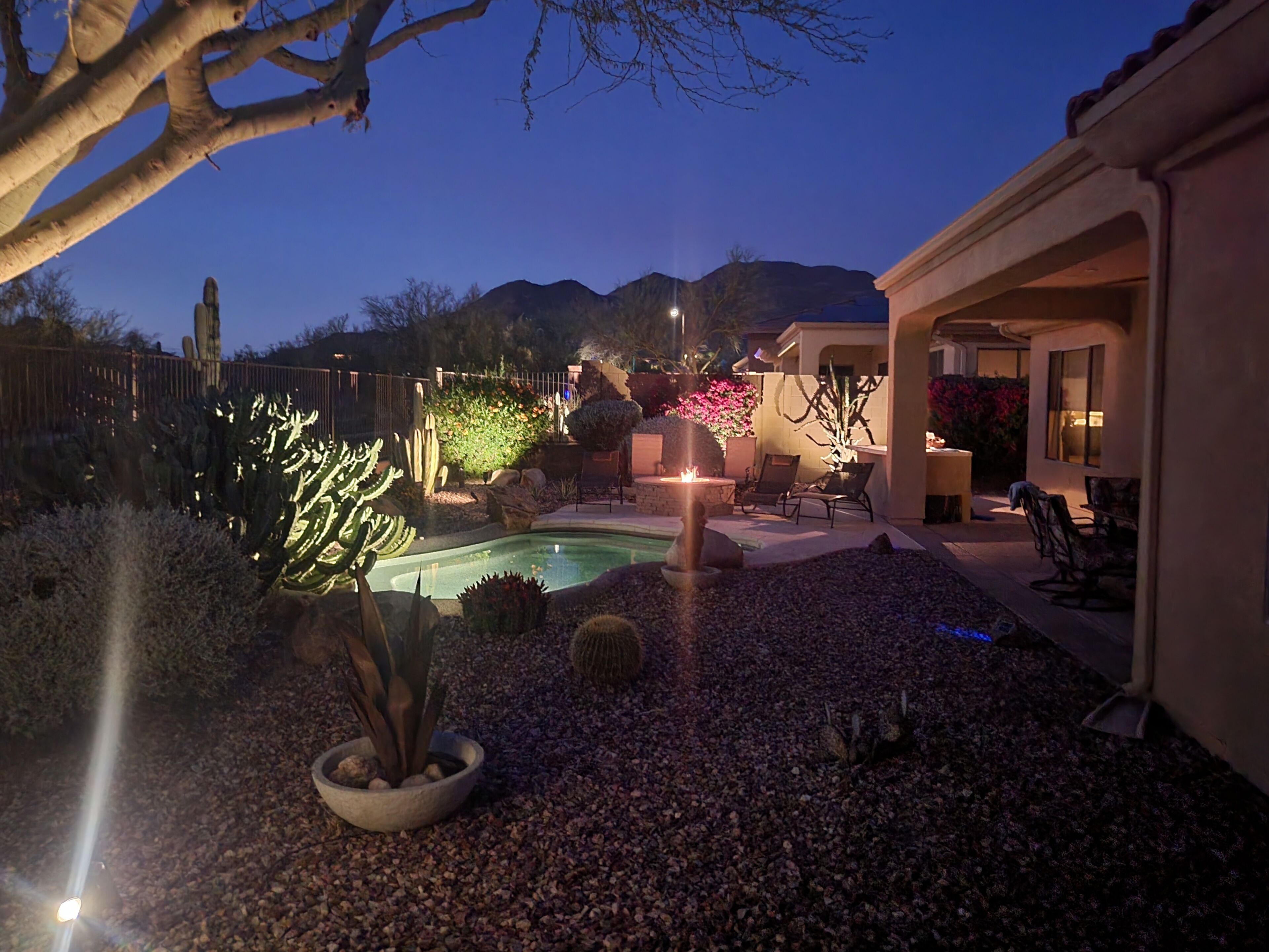 A backyard with a pool, surrounded by desert plants, a fire pit, and outdoor furniture.