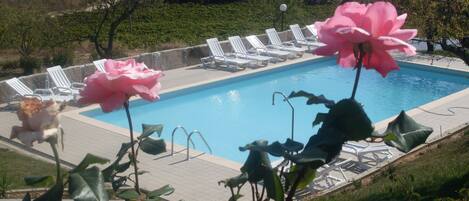 A swimming pool with lounge chairs and pink flowers in the foreground.