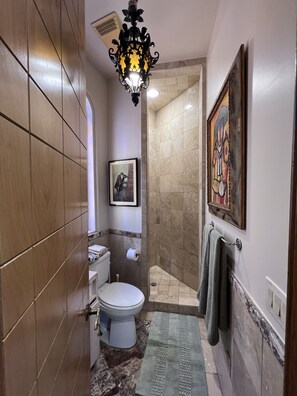 Regadera, toallas, jabón, shampoo 