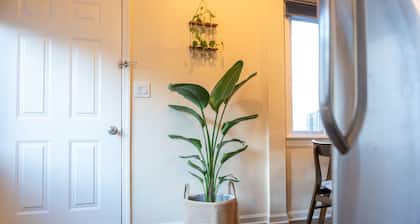 Bucktown Private Condo