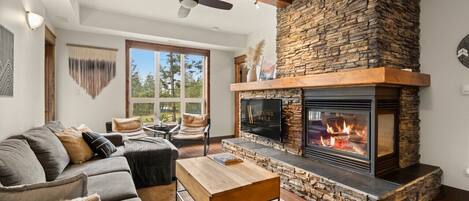 TV connectée, cheminée, livres