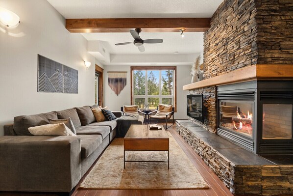 Smart TV, fireplace, books