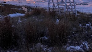 Ein Strandstuhl, der auf den Sonnenuntergang über dem Meer ausgerichtet ist.