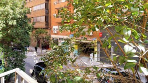 Un edificio de varios pisos con escaparate visible, un árbol en primer plano y automóviles estacionados en la calle.