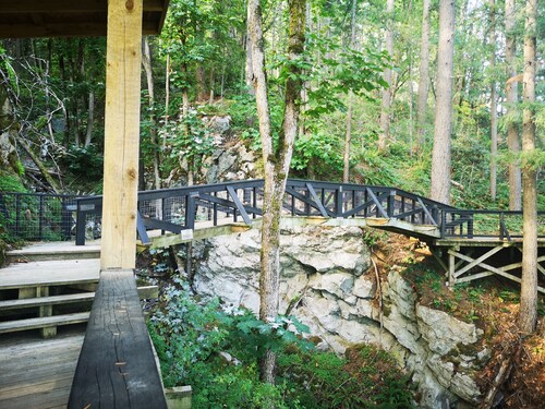 Luxury Caboose in Rhododendron Forest