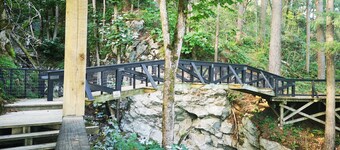 Luxury Caboose in Rhododendron Forest