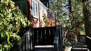 A rustic wooden staircase leading up to a cabin-like structure surrounded by dense forest. - Luxury Caboose in Rhododendron Forest (Agassiz)