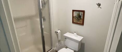 Une salle de bain avec douche, toilettes et lavabo.