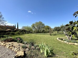 Property grounds - Gîte Macy - Montauroux (MONTAUROUX)