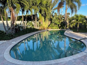 Una piscina rodeada de palmeras y vegetación.