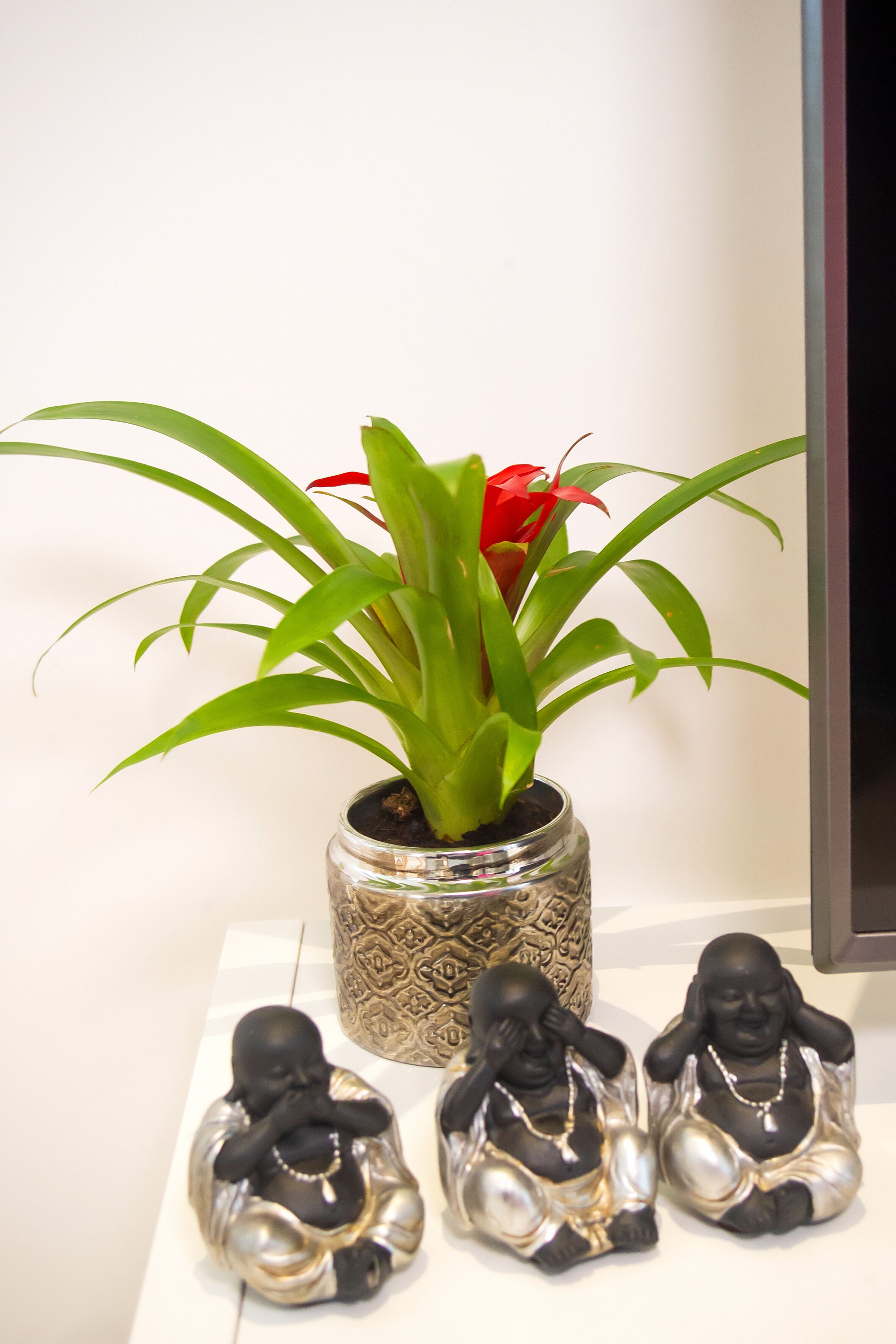 A potted plant with green leaves and a red flower, two black and silver Buddha statues, and a decorative item with a gold pattern.