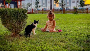 Un enfant assis sur l’herbe, avec un chat à proximité, et des bâtiments en arrière-plan.