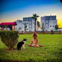 Vista desde la propiedad