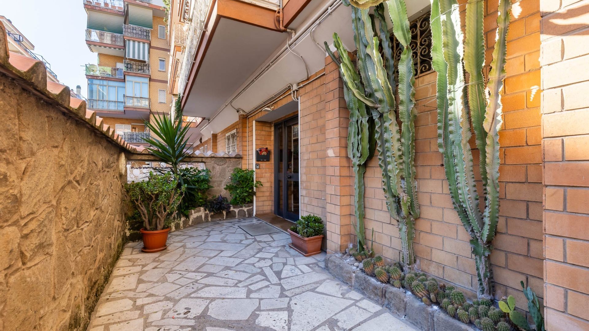 A narrow courtyard with a tiled floor, potted plants, and cacti along the walls.