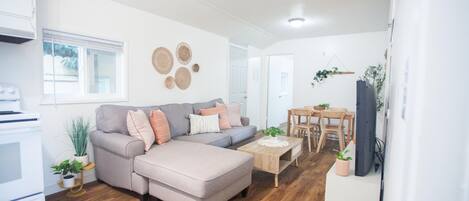 智能电视、DVD 播放器