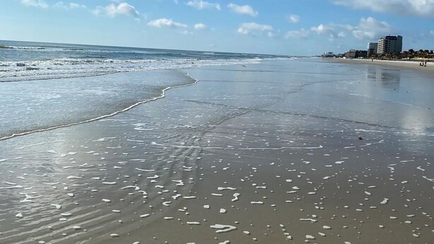 A beach with a clear sky and gentle waves.