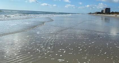 Beachside Ground-Floor Getaway!
Tons of amenities and a short walk to the beach!