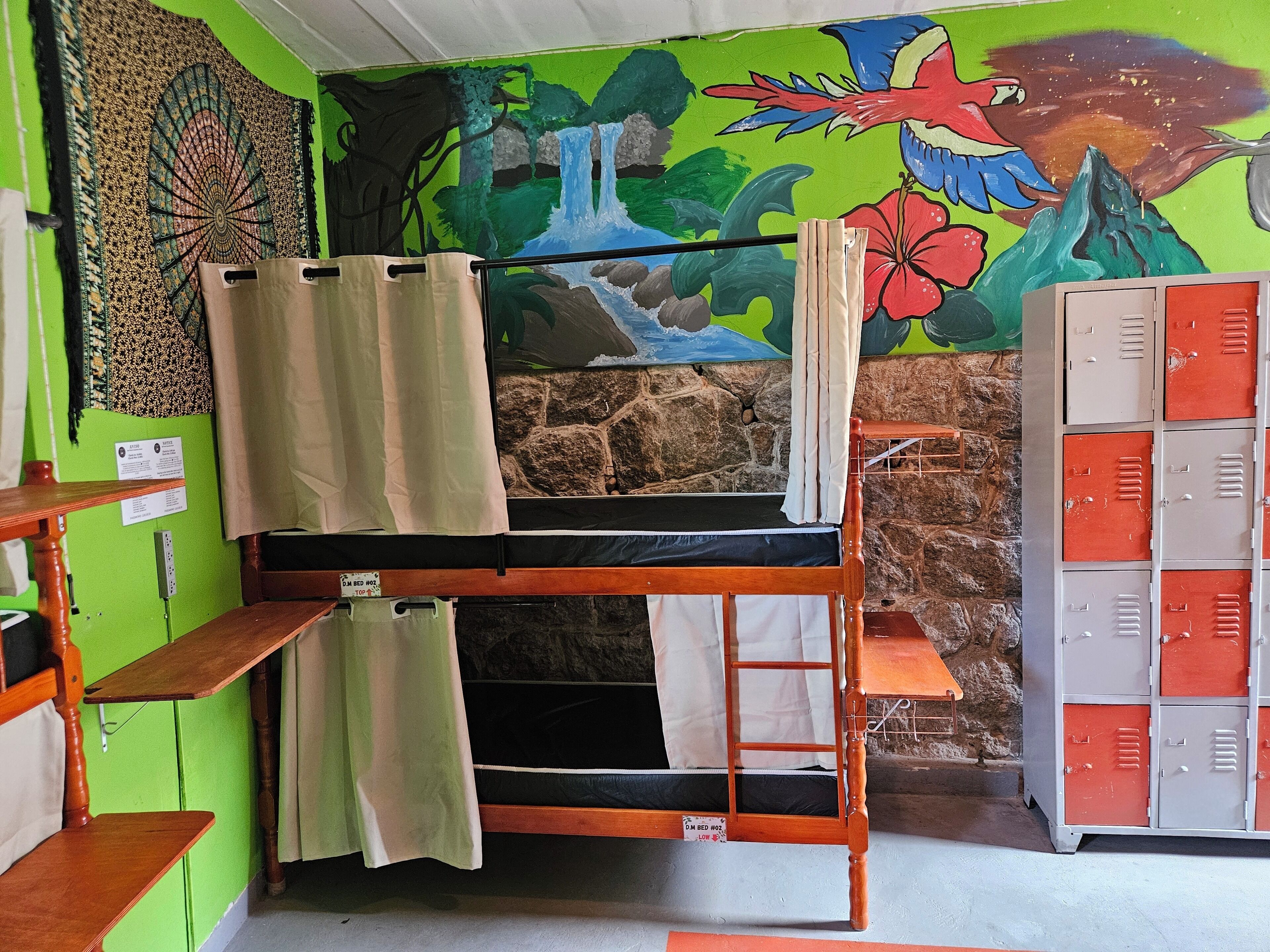 Un lit superposé avec une échelle, une étagère en bois et un mur orné d’une fresque colorée. Des casiers se trouvent sur le côté droit.