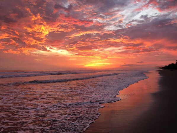 Beach - Oasis in Uvita with salt water pool Wi-Fi A/C, minutes from town and the beach! (Uvita)