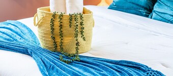 10mins to IUB: 4bd - Karaoke - Pickleball