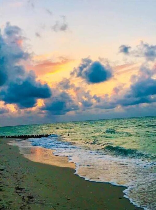 Beach - Tropical Beach Casita with pool (Chuburna Puerto)