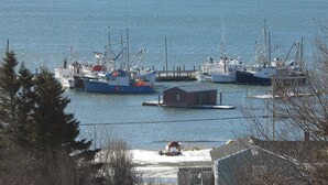 View from property - Marathon Inn (Grand Manan)