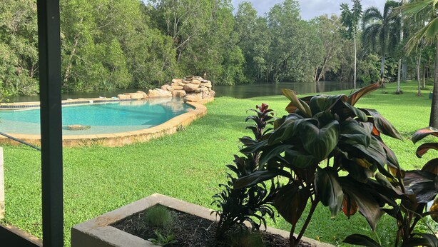 A pool surrounded by a well-maintained lawn and various plants. - Riverside Homestead (Darwin River)