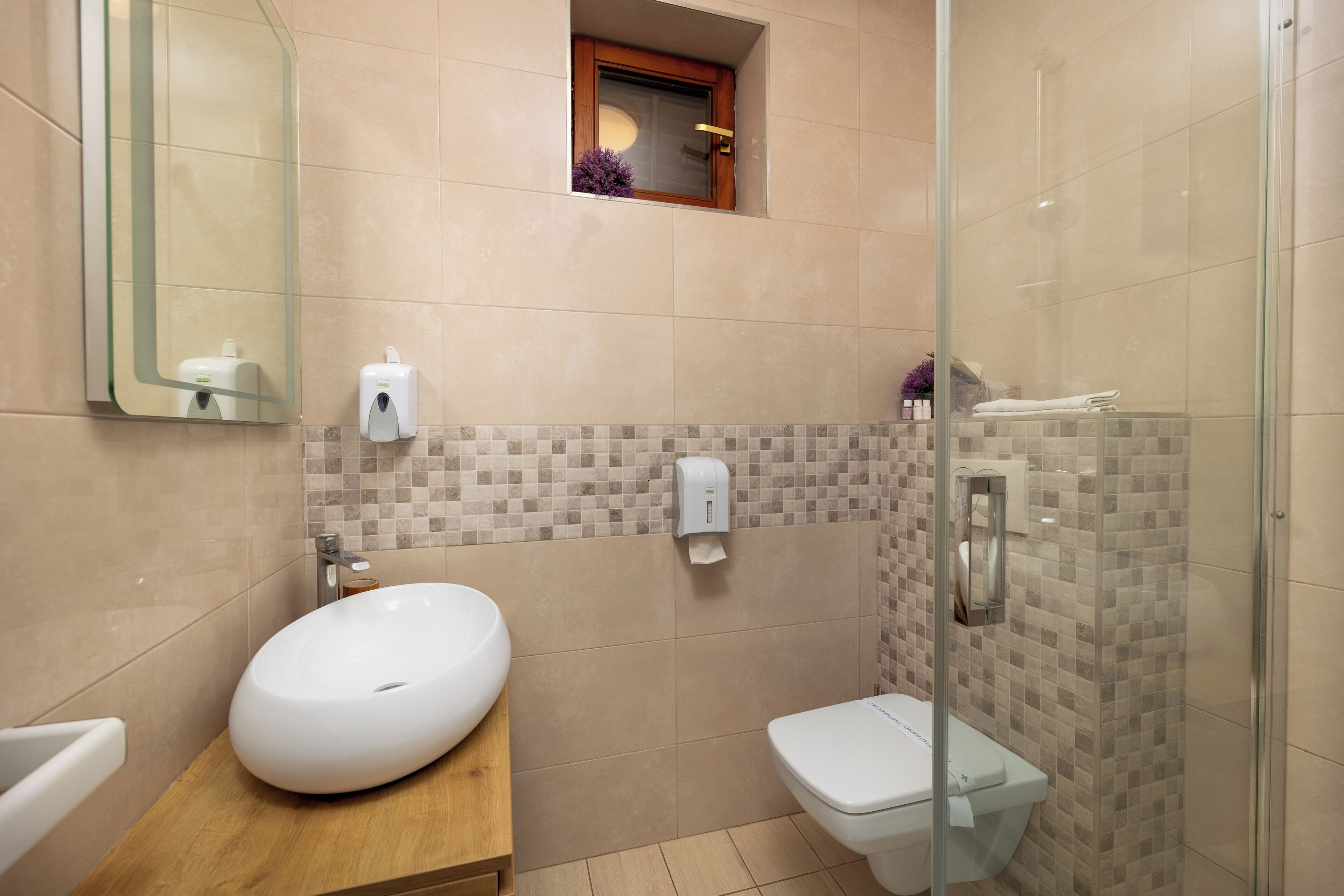 Un bagno moderno con un lavabo ovale grande, un water e una cabina doccia in vetro.