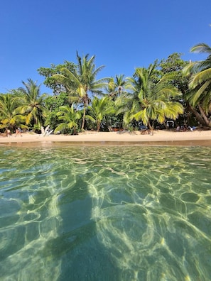 Sun-loungers, beach towels