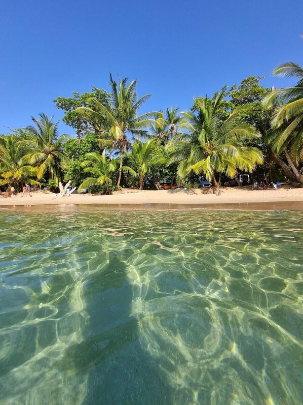 Sun loungers, beach towels