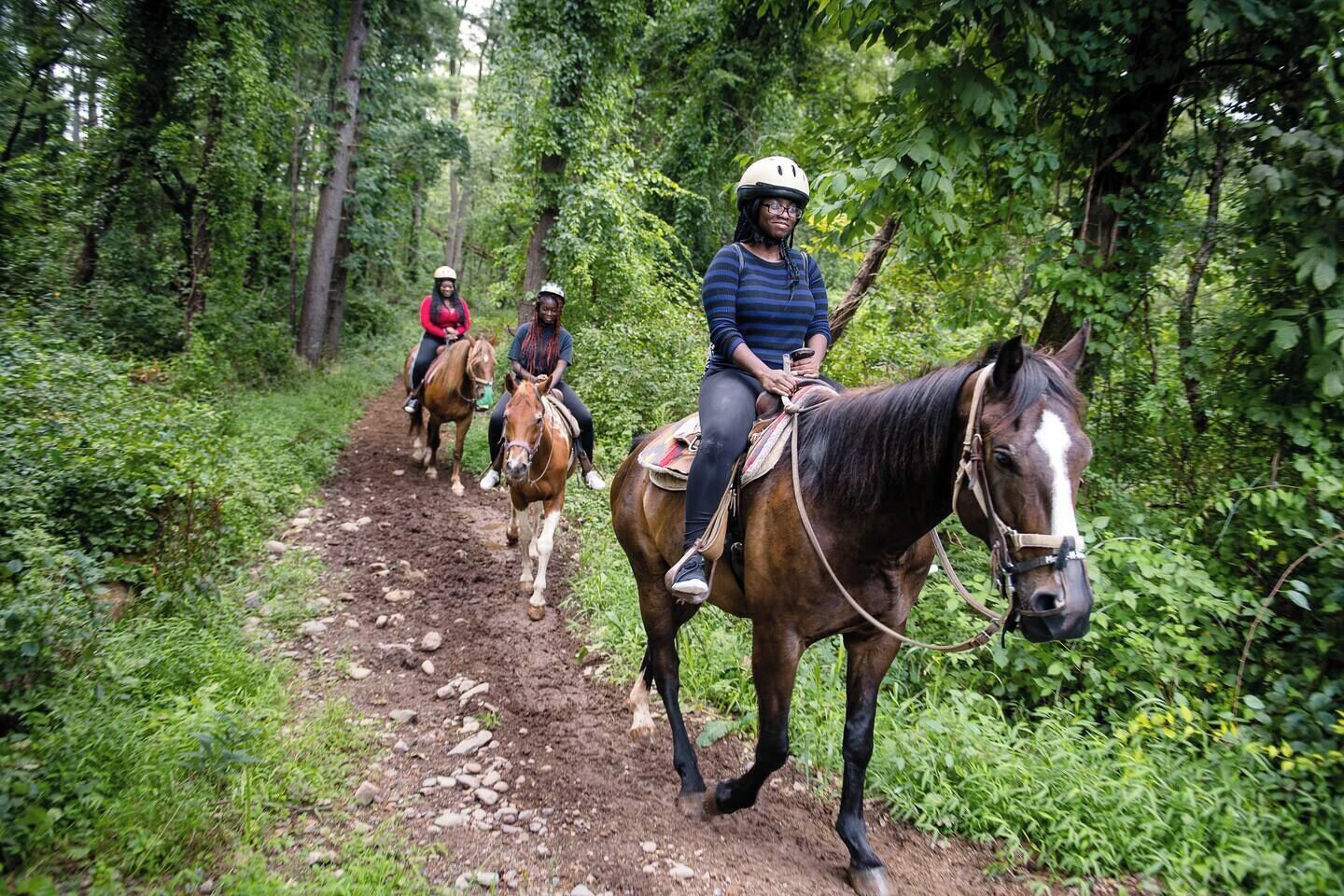 Drei Personen reiten auf Pferden einen Feldweg entlang, der von dichtem Grün gesäumt ist.