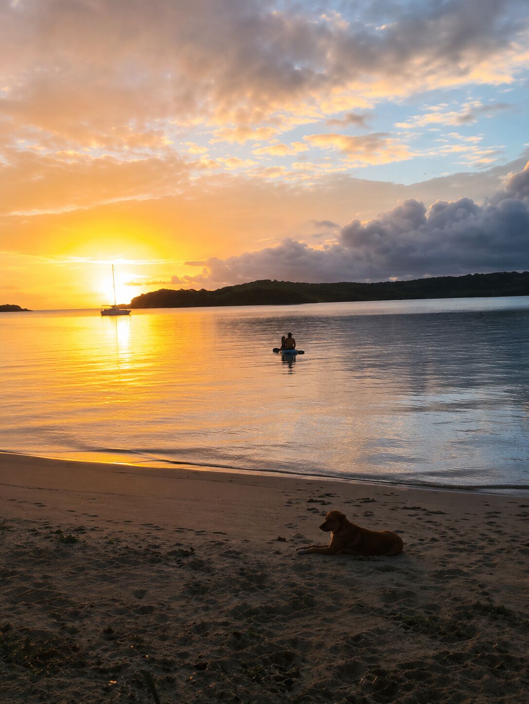 A beach scene with a dog lying on the sand, a person paddling a boat, and a sailboat in the distance.