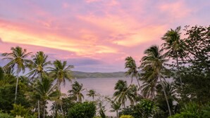 Un paisaje tropical con una masa de agua, palmeras y una zona cubierta de césped.