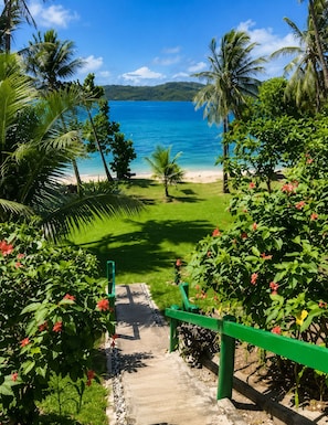A pathway leading to a beach with palm trees and a view of the ocean.
